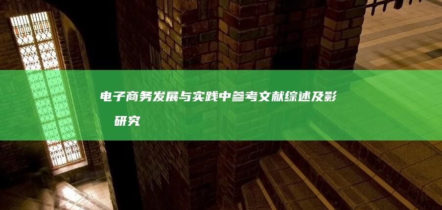 电子商务发展与实践中参考文献综述及影响研究